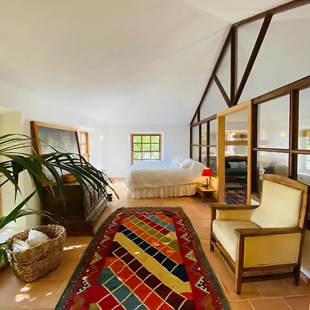 Bed & Breakfast La Rayuela Boutique Frontera