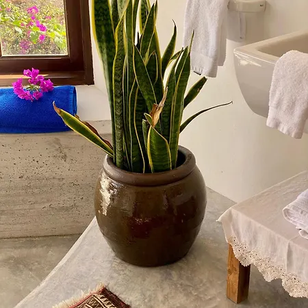 Panzió La Rayuela Boutique 4*